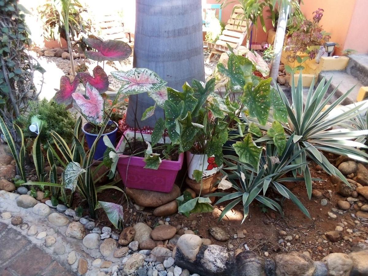Villa Casa Gio Puerto Escondido  Esterno foto
