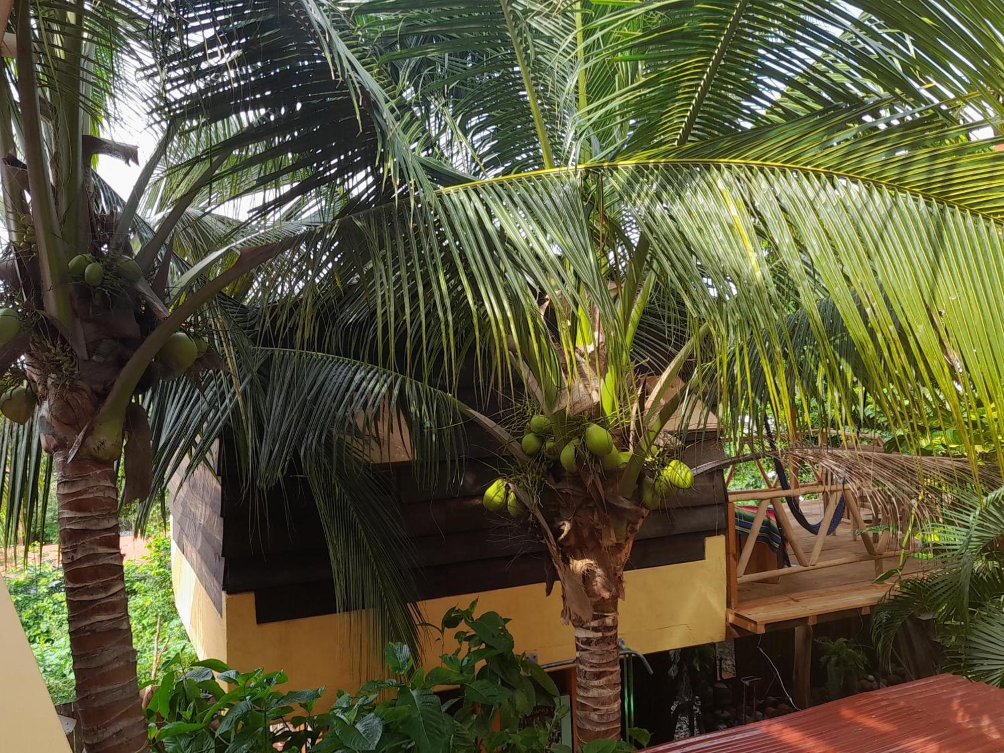 Villa Casa Gio Puerto Escondido  Esterno foto